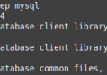 Linuxmint20.1 安装MySQL8.0踩坑指南